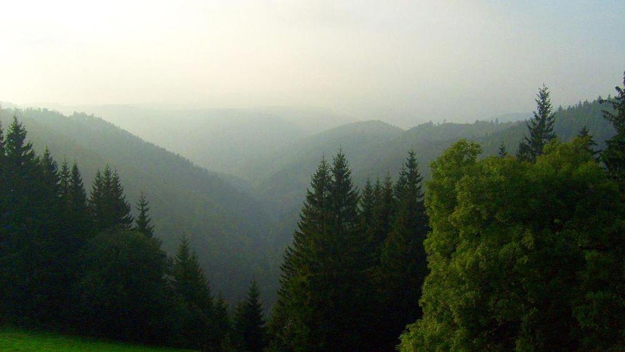 Hotel Schwarzwaldgasthaus Linde Schramberg Exterior foto